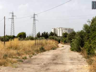 Fino ad arrivare all�imbocco di un viottolo sterrato. Lo percorriamo immergendoci nell�aperta campagna ascoltando il frinire di cicale e costeggiando alberi di ulivo e fichi d�india